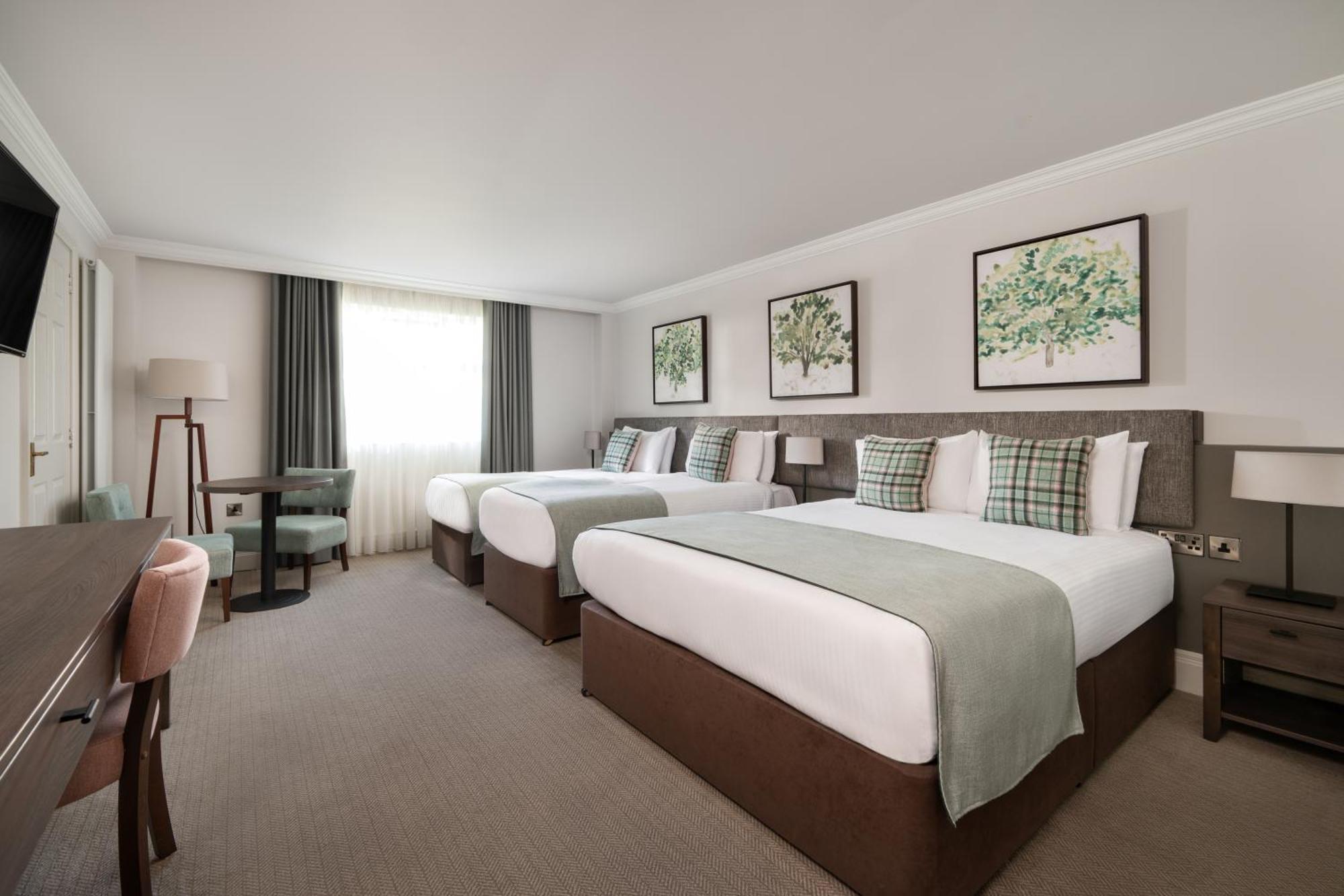 Ivanhoe Inn And Hotel Belfast Esterno foto
